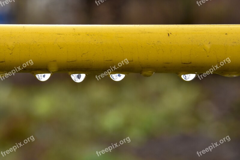 Drops Rain Trumpet Yellow Summer