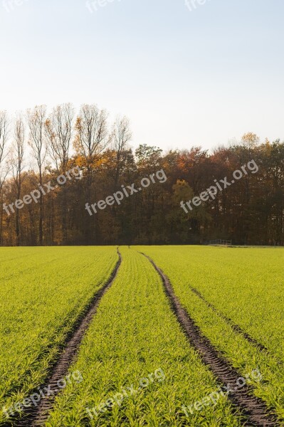 Nature Traces Field Free Photos