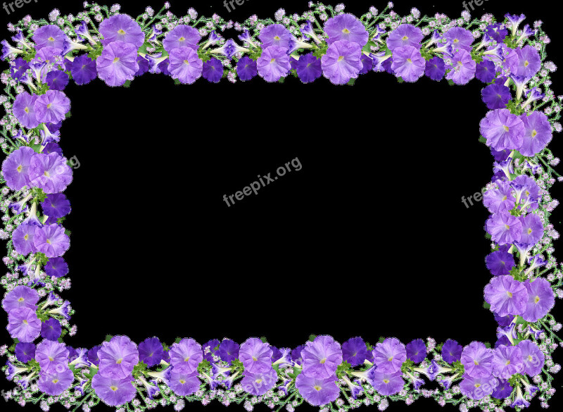 Frame Border Petunias Pattern Decoration