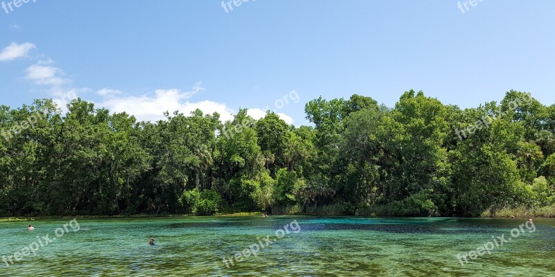 Nature Water Tree Summer Wood