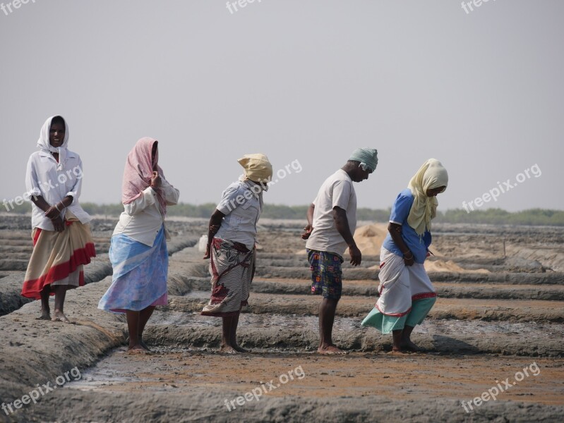 Women In The Salt Marsh Tamil Nadu Free Photos