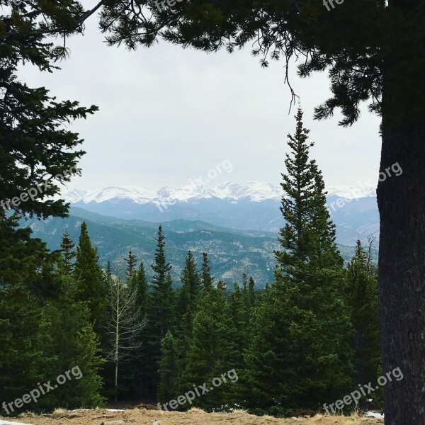 Tree Wood Nature Mountain Landscape