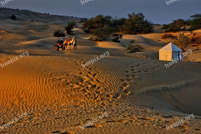 Sand Desert Dry Travel Caravan