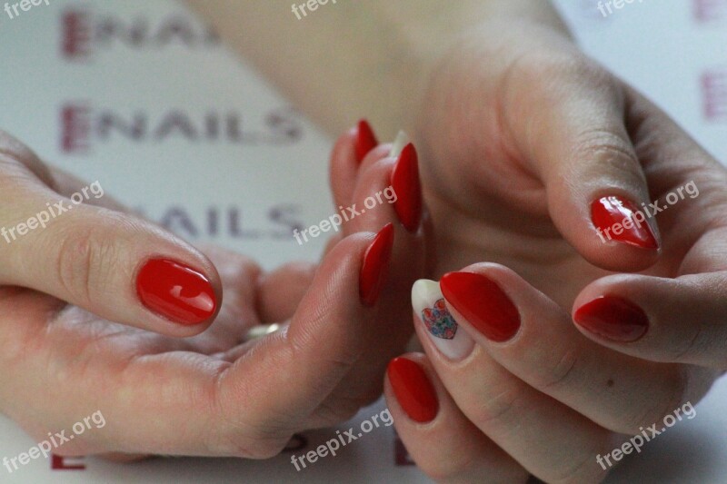 Manicure Woman Toenail The Hand Beauty Salon