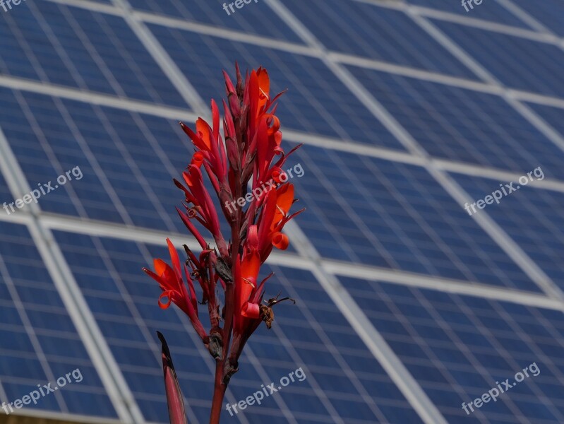 Alternative Solar Energy Solar Photovoltaic Ecology