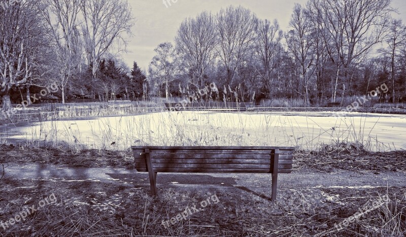 Wooden Bench Park Bench Pond Ice Frozen Over