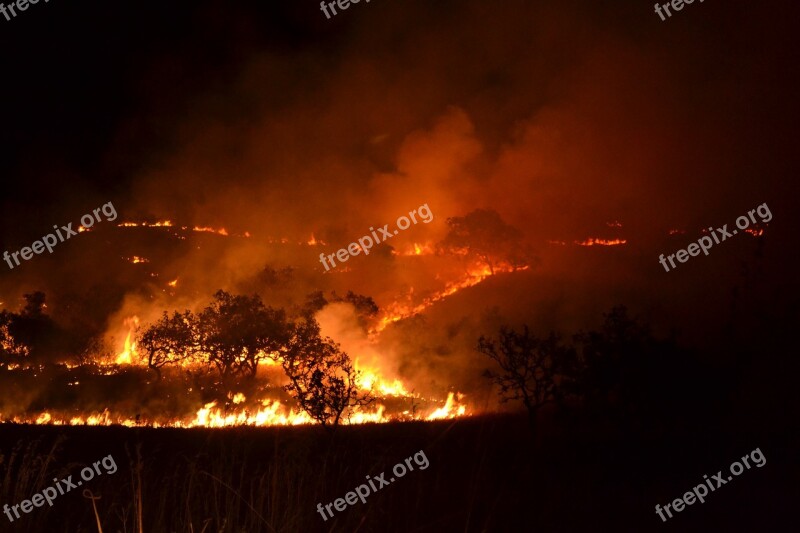 Smoke Flame Outdoors Heat Nature