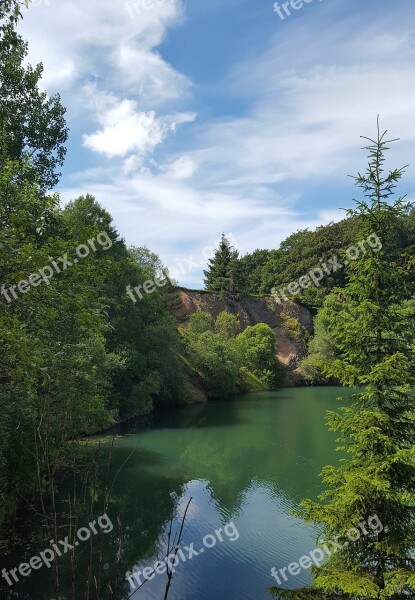 Nature Tree Landscape Waters Wood