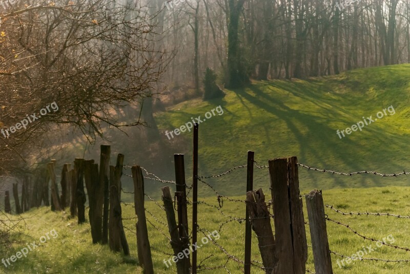 Tree Landscape Nature Wood Outdoor