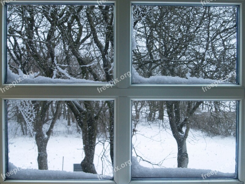 Window Lattice Windows Frost Winter Snow