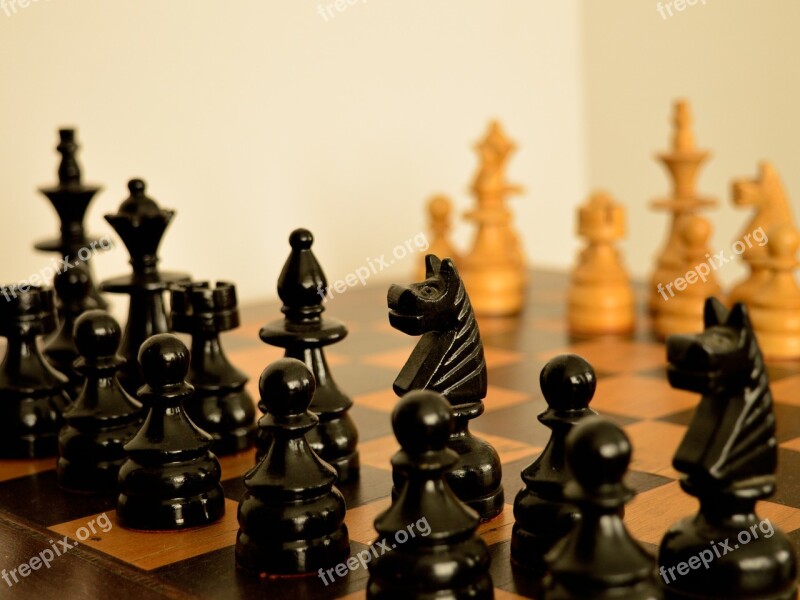 Chess Schema Checkmate Win Free Photos