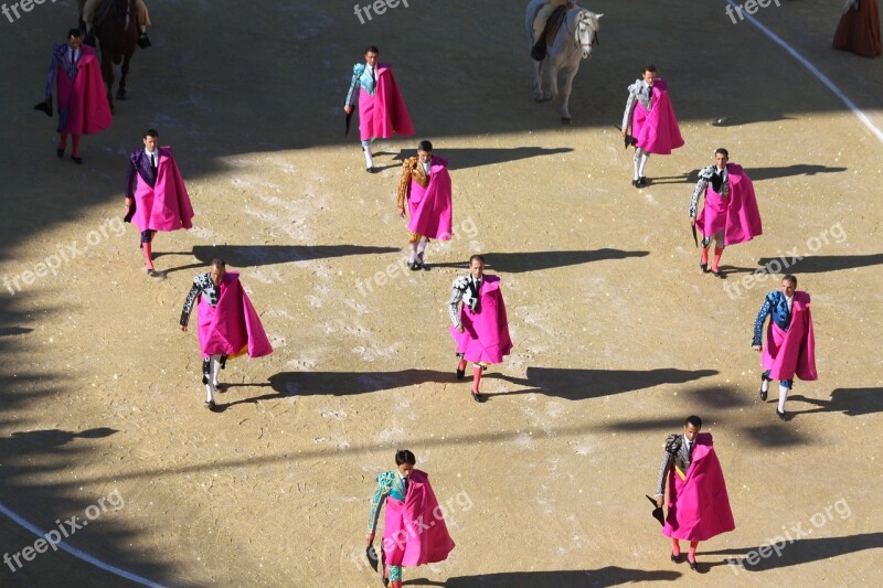 Bullfight Man Free Photos