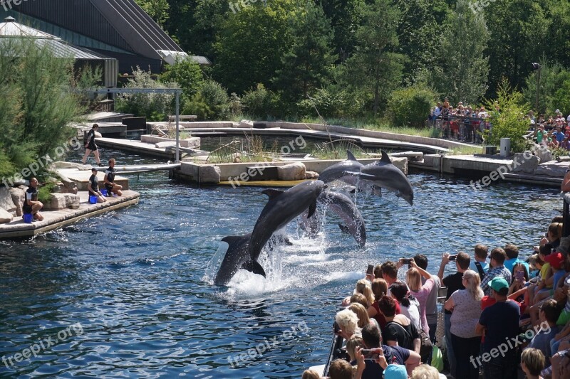 Waters Travel River Tourism Summer