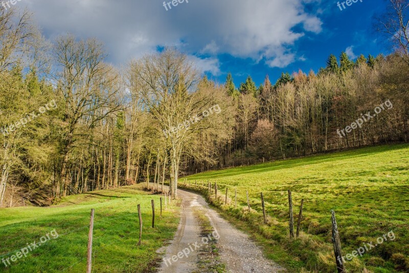 Tree Landscape Nature Grass Wood