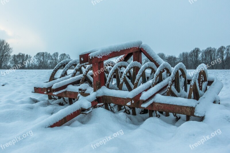 Winter Snow Cold Frost Frozen