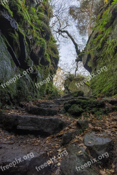 Lud's Church Peak District Natural Chasm Nature Water