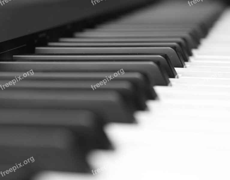 Piano Ebony Ivory Synthesizer Free Photos