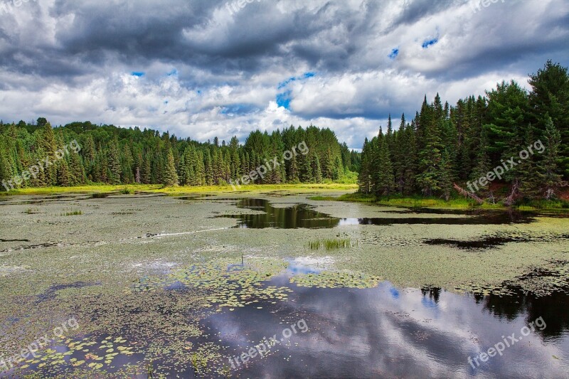 Water Nature Landscape Tree Lake