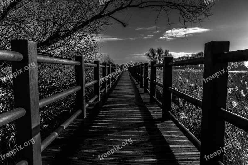 Fence Black And White Photography Wood Nature Bridge