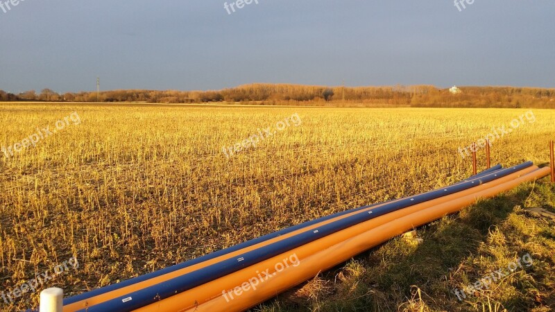 Agriculture Field Farm Harvest Nature