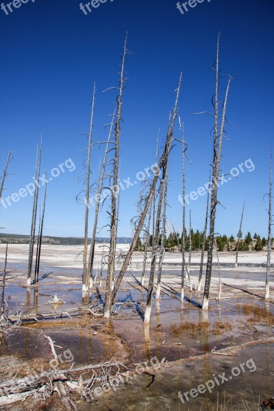 Nature Sky Waters Landscape Summer