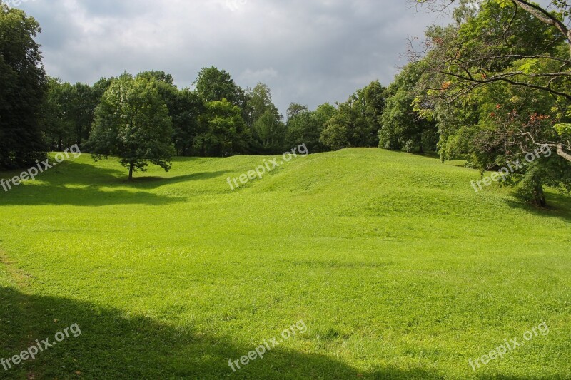 Grass Landscape Nature Tree Lawn