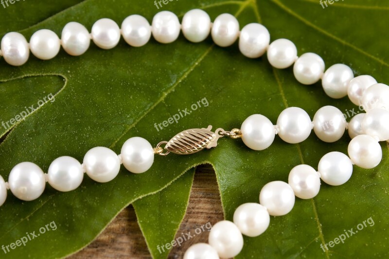 Jewelry Necklace Pearls White Pearl Gold