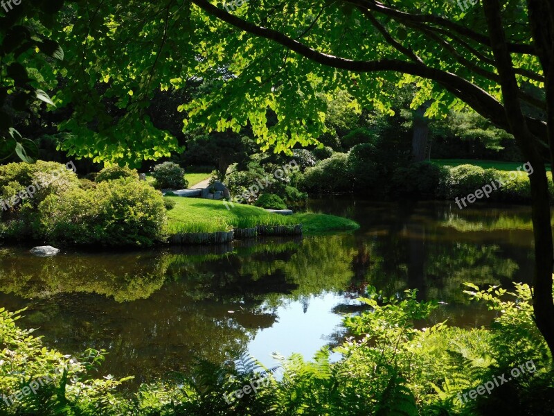 Arboretum Garden Lagoon Nature Meditation Garden