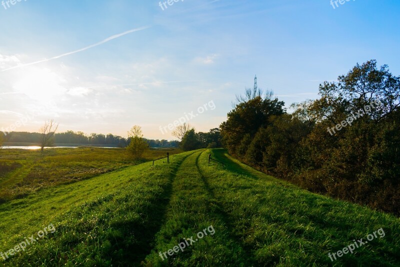 Landscape Nature Field Lawn Tree