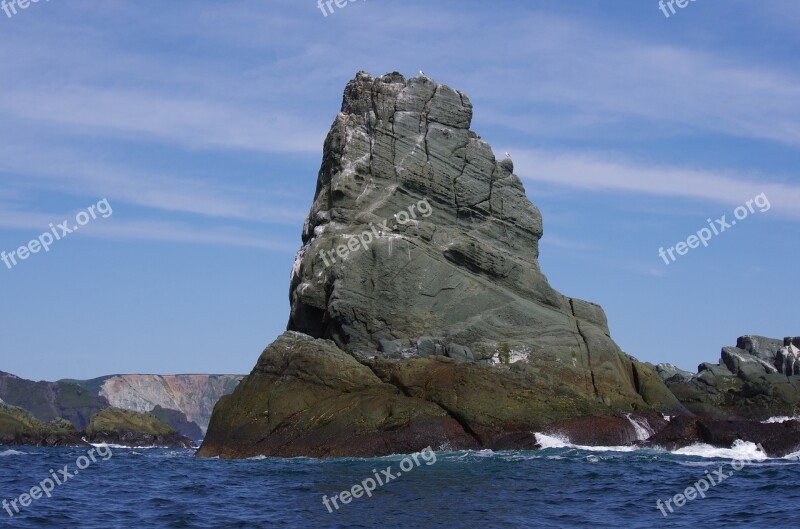 Ocean Sea Rocks Bird Island Birds