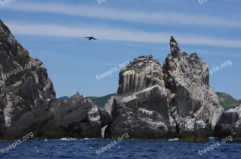 Ocean Sea Rocks Bird Island Birds