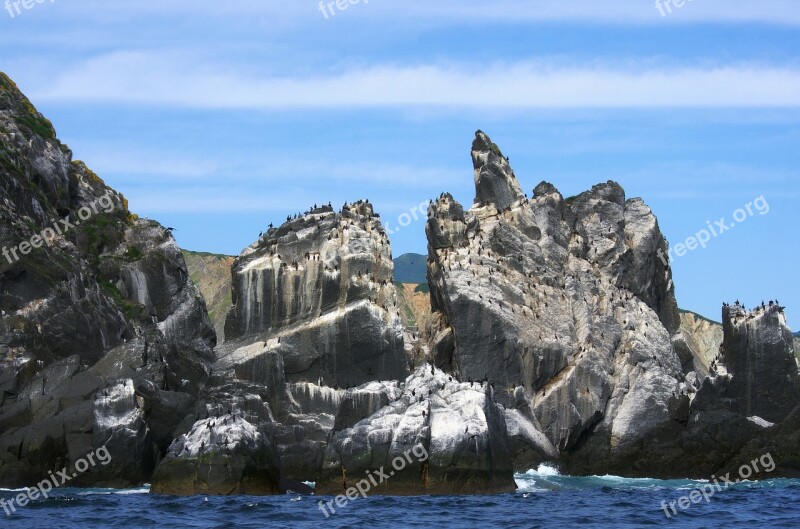 Ocean Sea Rocks Bird Island Birds