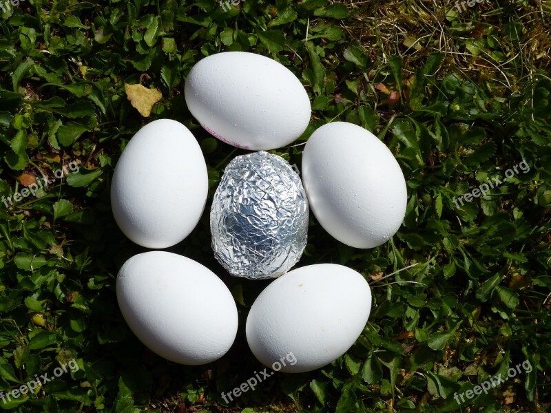 Egg Nature Easter Nest Easter Eggs Aluminium