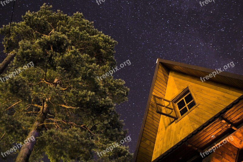 No One Tree Night Celebrities House In The Mountains