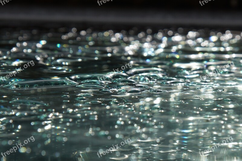 Wet Rain Water Pearl Free Photos