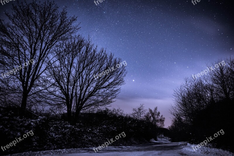 Night Stars Starry Sky Trees Winter Landscape