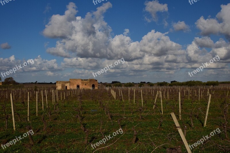 Agriculture Landscape Nature Sky Grass