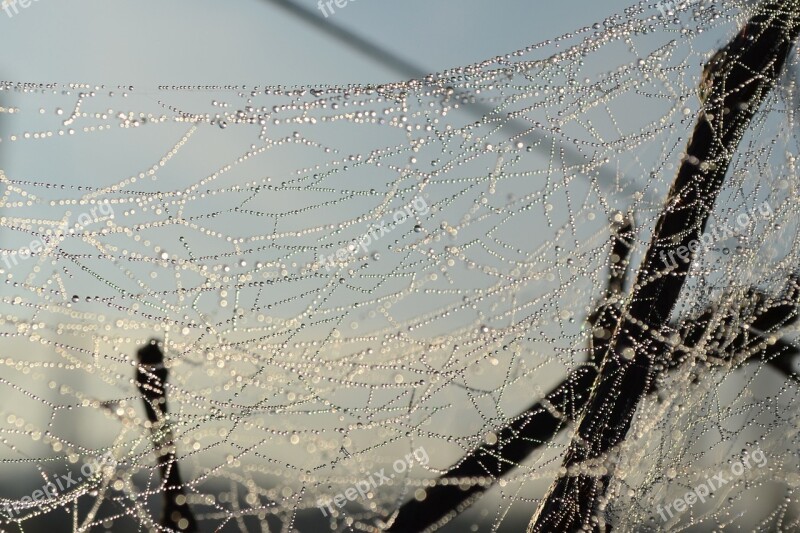 Nature Outdoors Spider Web Mock Up