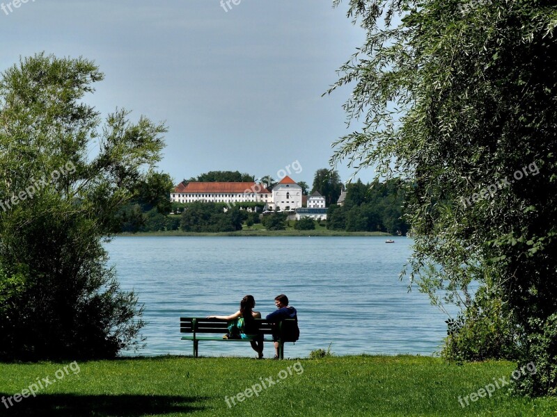 Tree Lake Summer Nature Waters