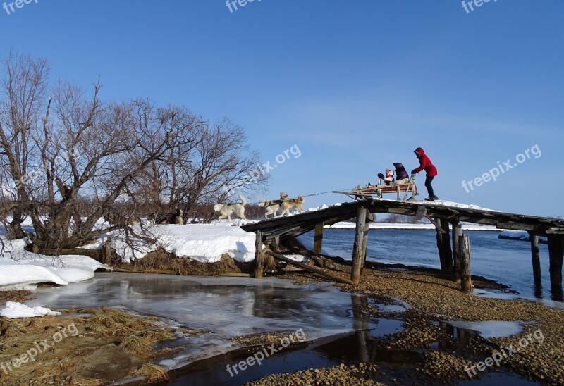 Bridge Small River Dog Sled Dogs Husky