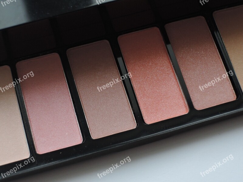 Palette Beauty Makeup Blush Cosmetics