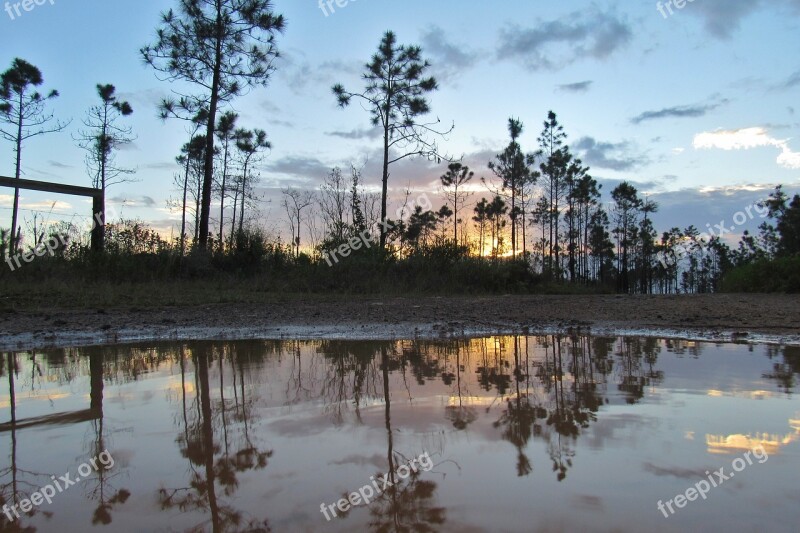 Water Nature Reflection Tree Outdoors