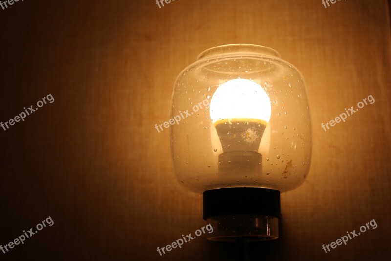 Lamp Bulb Light Electricity Illuminated