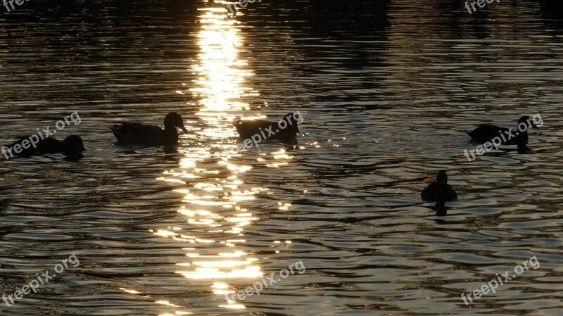 Body Of Water Sunset Outdoors Wet Wild World