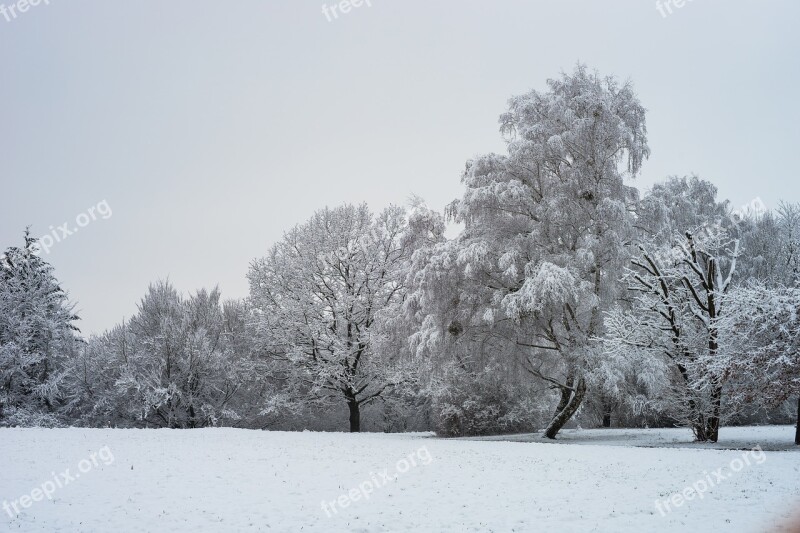 Winter Snow Frost Cold Landscape