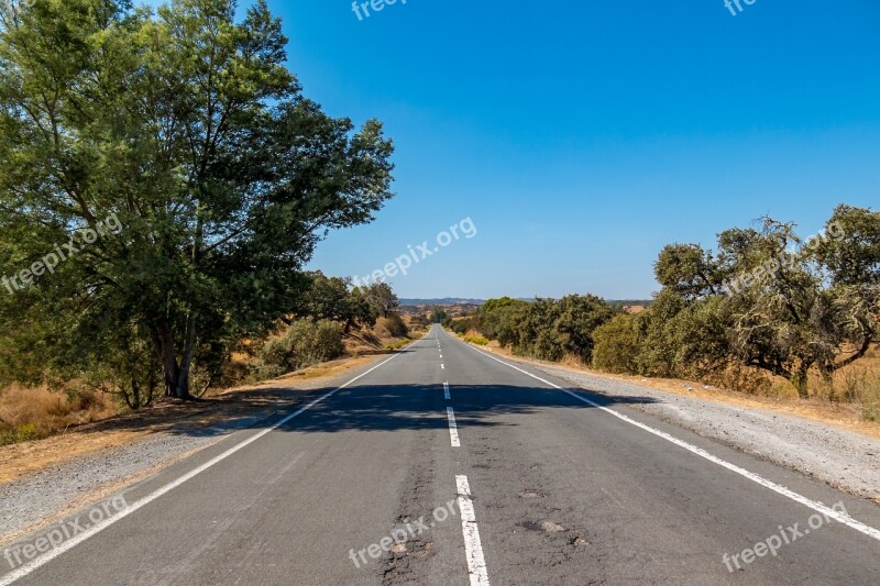 Road Asphalt Travel Tree Roadway