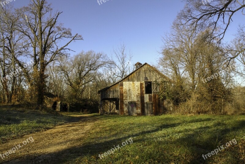 Tree Wood Barn Landscape Farm