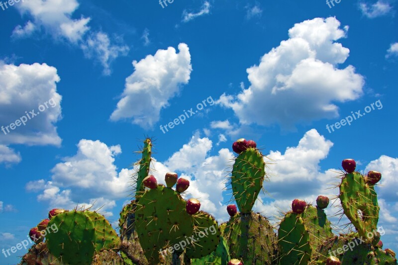 Sky Nature Summer Outdoors Cloud