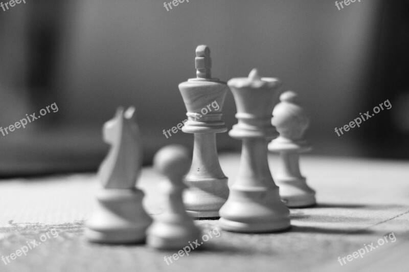 Chess Bauer Strategy Queen Knight