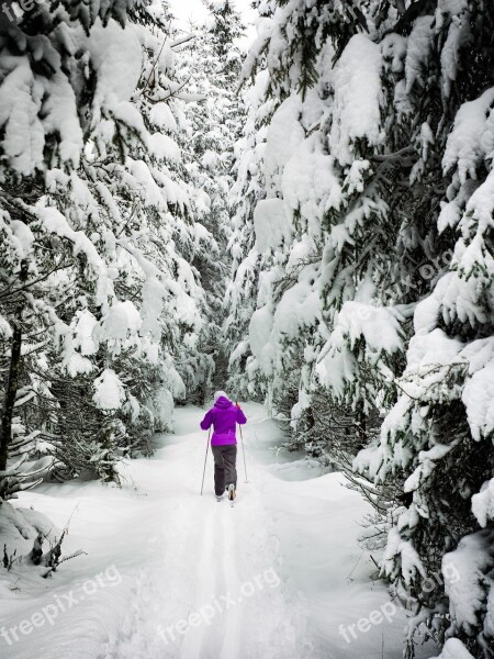 Snow Winter Cross Country Skiing Sport Cold